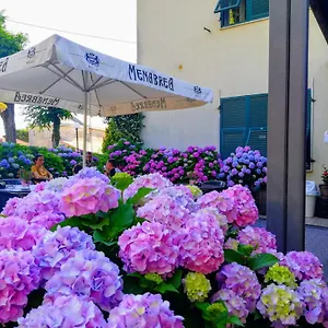 Silvia Hotel
